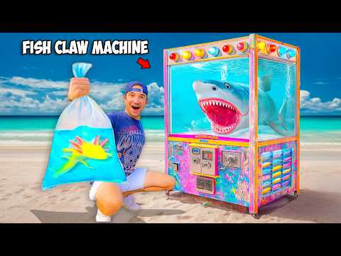 I Bought a Live Fish Claw Machine...
