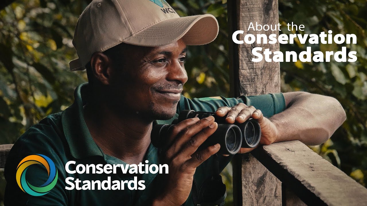 About the Conservation Standards