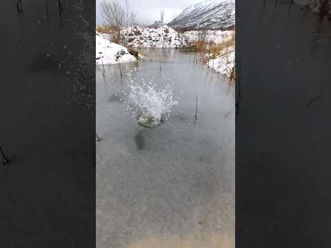 Stone vs Slush ❄️