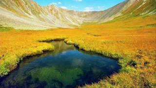 Cuando vuelva a tu lado KRK de Mike Laure (No me niegues tus besos)-Dansavi