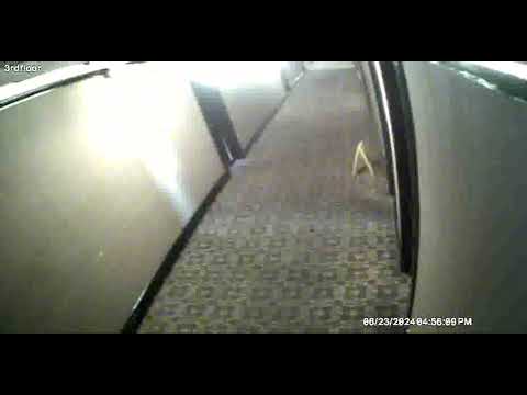Paranormal Activity Captured on Security Camera at America’s Most Haunted Hotel