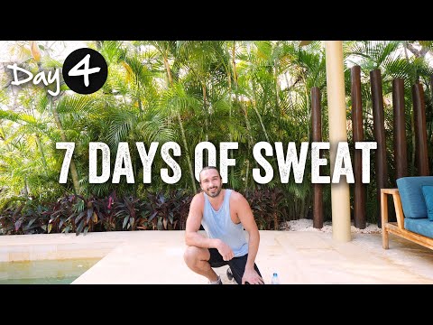 Day 4 | 7 Days of Sweat Challenge 2020 | The Body Coach