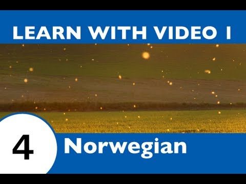 Learn Norwegian with Video -- Norwegian Vocabulary for Insects Doesn't Have to Bug You Any Longer!