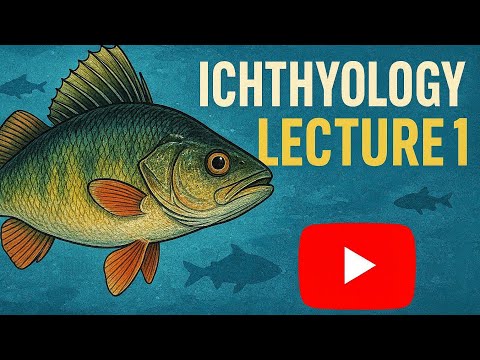 Ichthyology Lecture 1 | Basics of Fish Biology, Evolution & Diversity