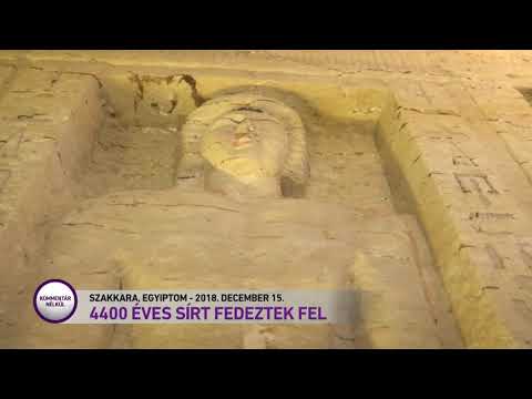 Egyiptomi helminták, I. OSZTÁLY: FONÁLFÉRGEK (NEMATODA RUD.)