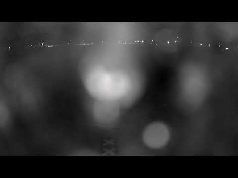 Boekaniers H1 - Tex Town Tigers H1