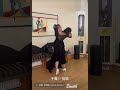 于鑫 杨颖 Tango Private Lesson With Andrea ThumbsUp ThumbsUp