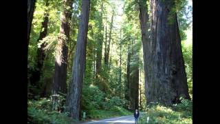 Van Morrison - Take Me Back 😎