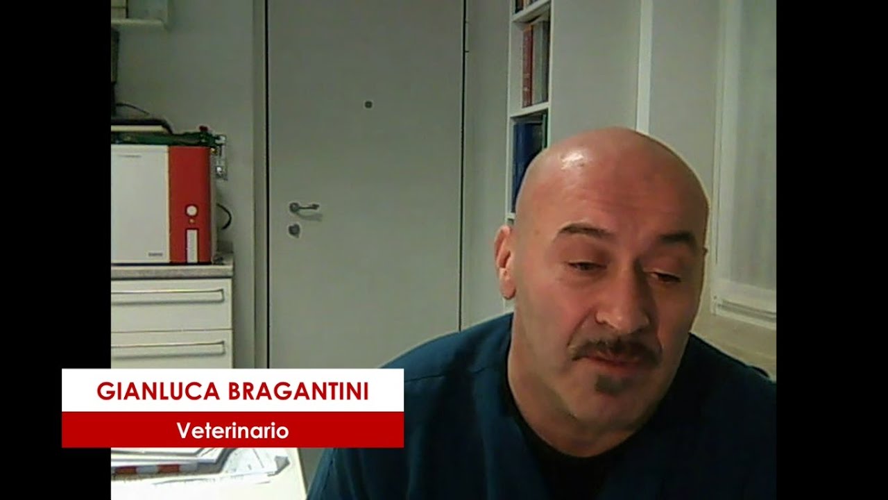 Descrizione dell'immagine