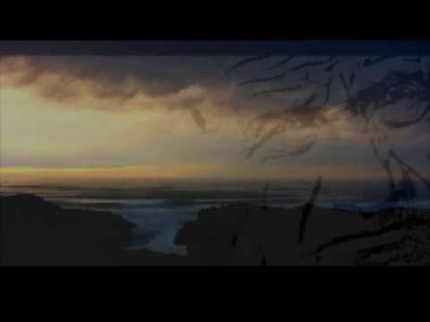 Kultstatus - Ein Wiedersehen