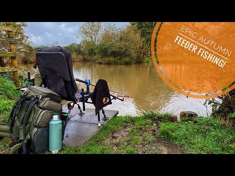 Epic Autumn Feeder Fishing! You Won’t Believe What Happened! | Limbrick Fishery