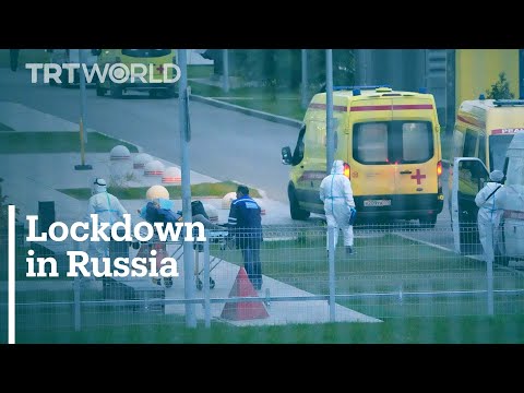 Russian President Vladimir Putin approves week-long workplace shutdown