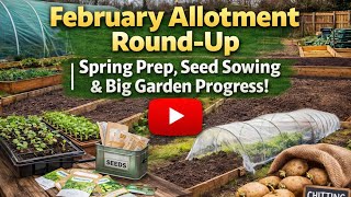 February Allotment Round-Up | Spring Prep, Seed Sowing & Big Garden Progress!