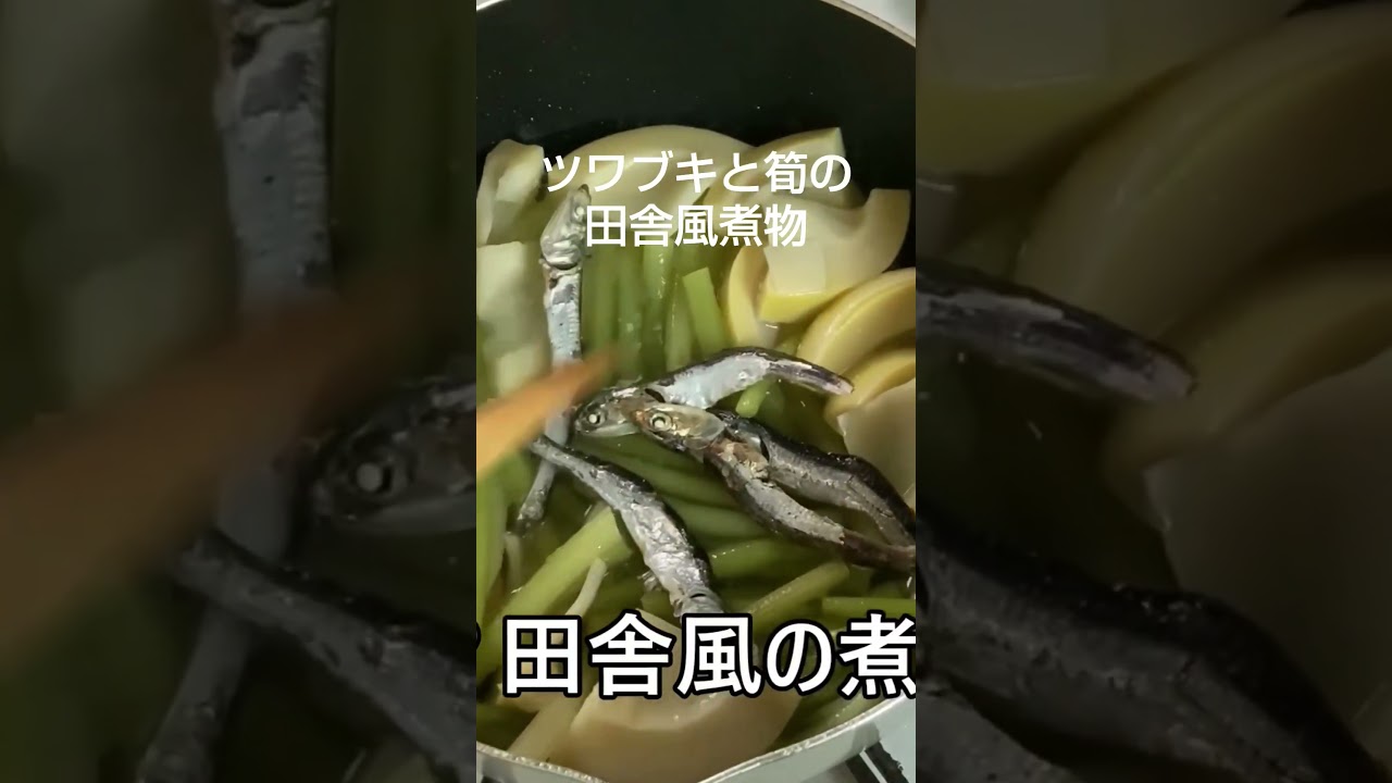 ツワブキと筍の田舎風煮物/#shorts #料理#