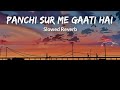 Panchi Sur Me Gati Hai || Slowed+ Reverb|| Sirf Tum @reallifeuserr