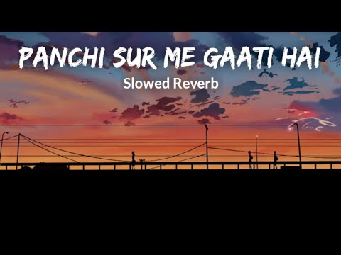 Panchi Sur Me Gati Hai || Slowed+ Reverb|| Sirf Tum 