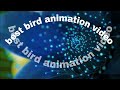 Best Bird Animation Video Best Means Best