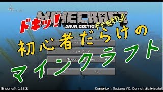 はじめてのマインクラフト【マイクラ実況】#0
