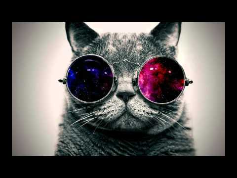 Martin Page - In the house of stone and light