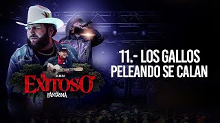 El Fantasma - Los Gallos Peleando Se Calan (Visualizer)