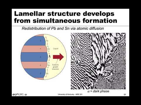 MSE 201 S21 Lecture 34 - Module 2 - Binary Eutectic Phase Diagrams Part 2