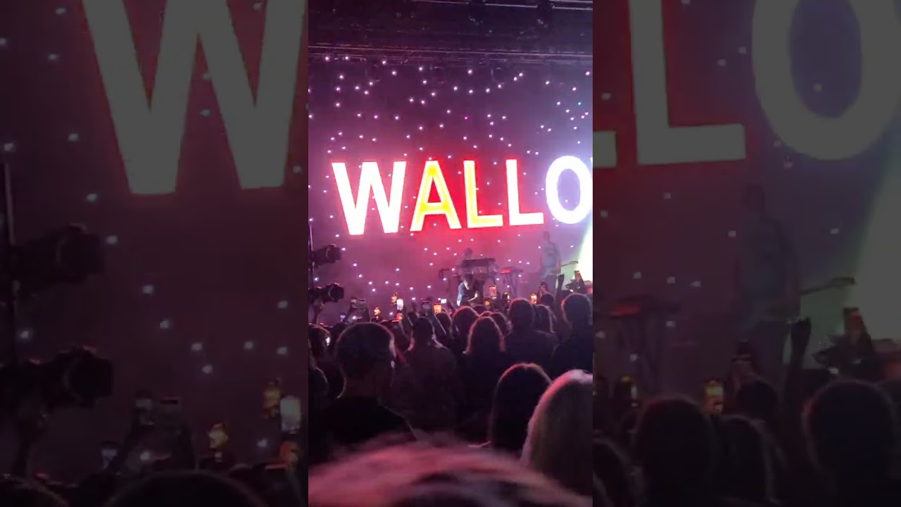 Wallows Model Tour 2024