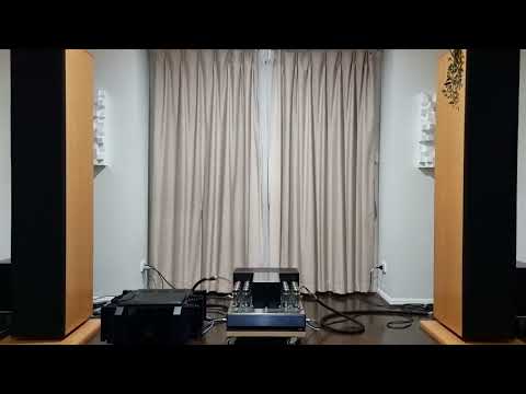 CAT JL2 Signature MK2 + Dunlavy SCIV