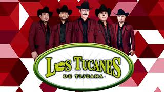 Soy feliz - Los Tucanes de Tijuana