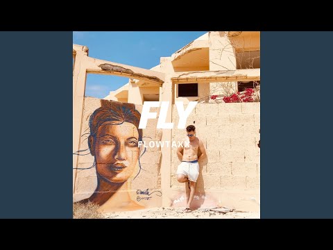Fly