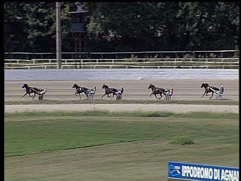 Trotto 14/09/2018 - 1ª prova di qualifica