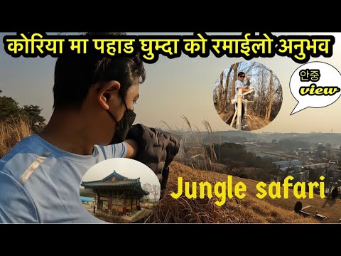 Jungle safari in South Korea/ jungle safari/ korea Ko view/ Npt official
