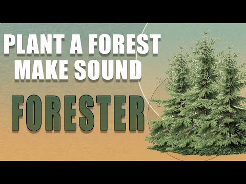 ambient talkie: ep 47 - exploring FORESTER by Leafcutter John