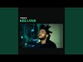 Kiss Land
