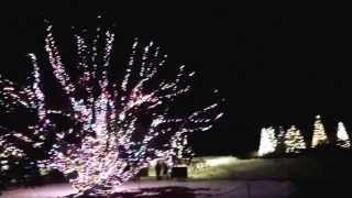 preview picture of video 'Longwood Gardens Christmas 2013 Outside'