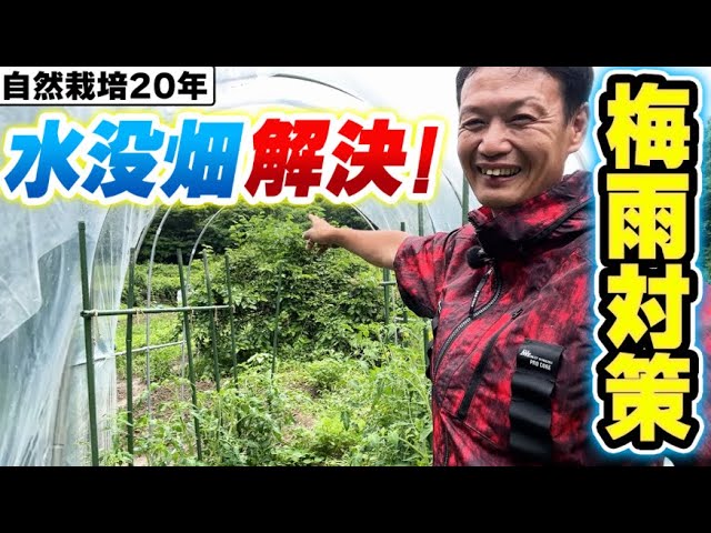 梅雨の畑を救う！溝と縦穴の排水術