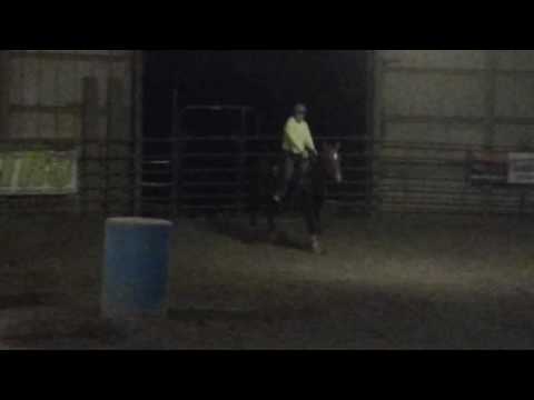 Good Golly Wally "Wally" - 11/10/2016 -5