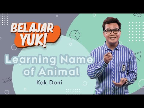 MENGENAL NAMA HEWAN DALAM BAHASA INGGRIS | Belajar Yuk! Learning Name of Animals