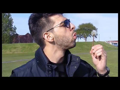 PUNCH AROGUNZ - Blind vor Liebe 3 (Dagi Dagi ahhhhh)