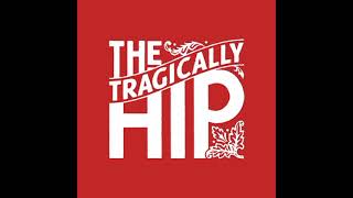 Tragically hip - Tiger and the lion