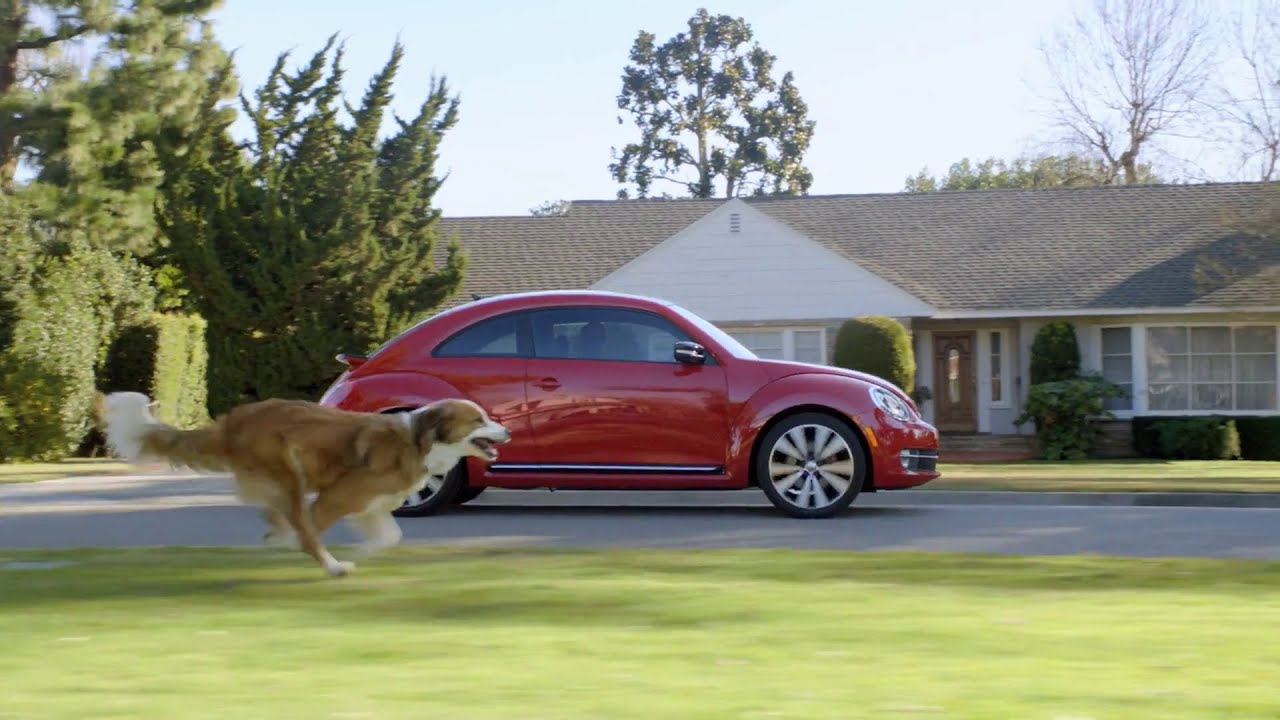 The Dog Strikes Back: 2012 Volkswagen Game Day Commercial