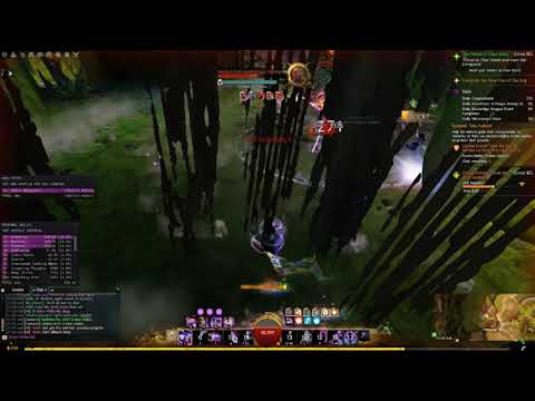 Guild wars 2 dmg meter tester