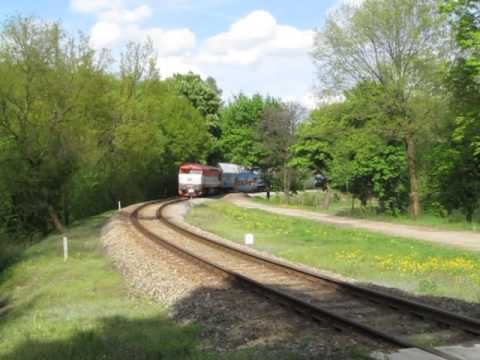 Svárovské jaro a koncertující 749.006