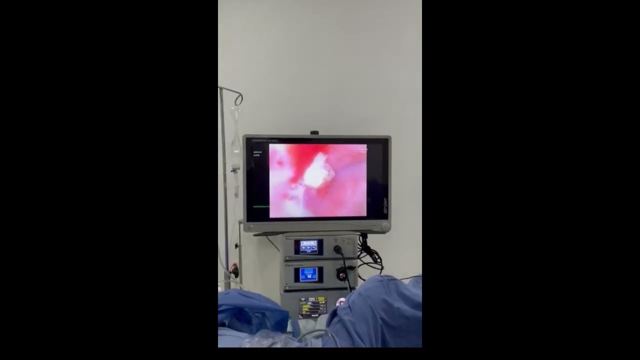 Maria Guadalupe Chávez Torres-3