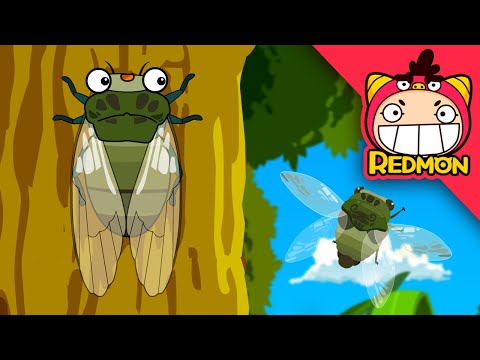 Forest music band and dung beetle | Insect world #08 | REDMON