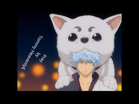 Download Gintama Op 1 3gp Mp4 Codedwap