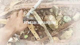 preview picture of video 'PT. Megah Surya Pertiwi'