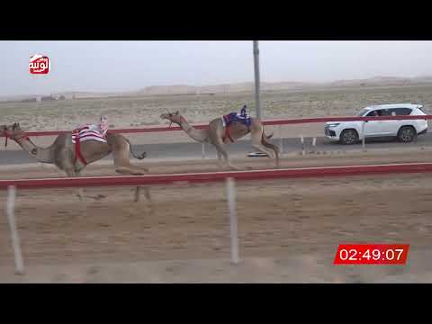  ش 5 (هملوله) لـ معالي علي سالم بن عبيد الكعبي 6:33 ، مهرجان العين 2026/08/08 ثنايا سويحان