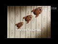 Wallace Gromit The Wrong Trousers 1993 1994 Opening Intro Intros On MTV Europe Openings Openin