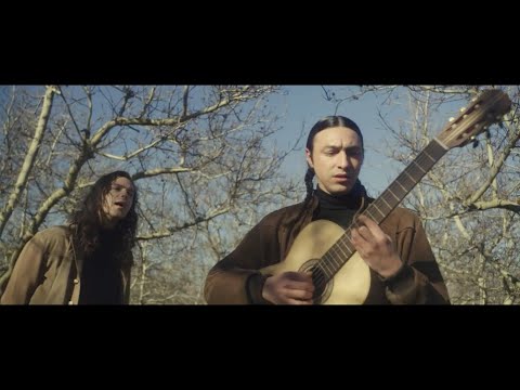 Plumas - Mis Hermanos Sueñan Despiertos (video oficial)