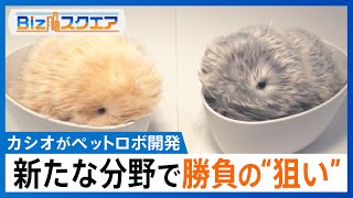 カシオ計算機がペットロボットを開発する狙い　機能価値から感性価値で新たなビジネスモデルに【Bizスクエア】